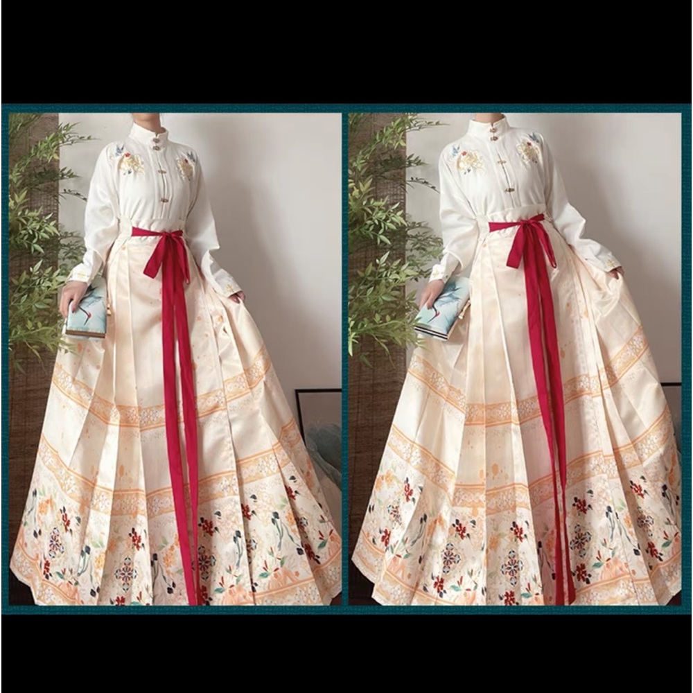 chinese traditional dress with blouse